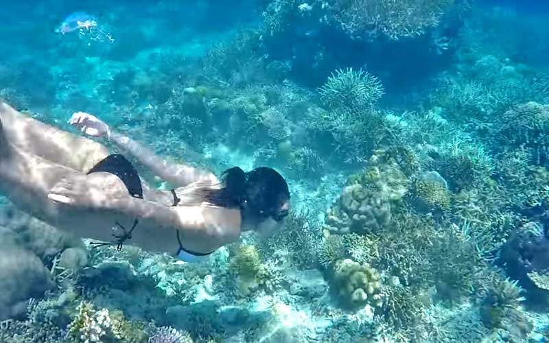 aller-snorkeling-a-komodo